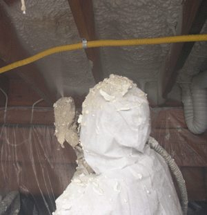 Regina SK crawl space insulation